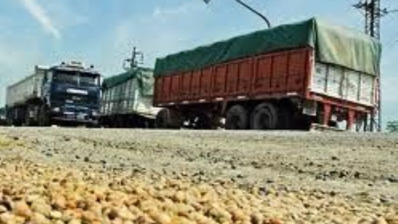 Desde el NOA, transportar soja a Rosario es más caro que hacerla llegar a Rotterdam
