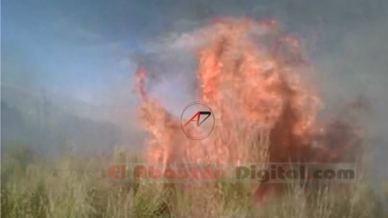 Incendio provocado arrasó con pastizales en Fiambalá