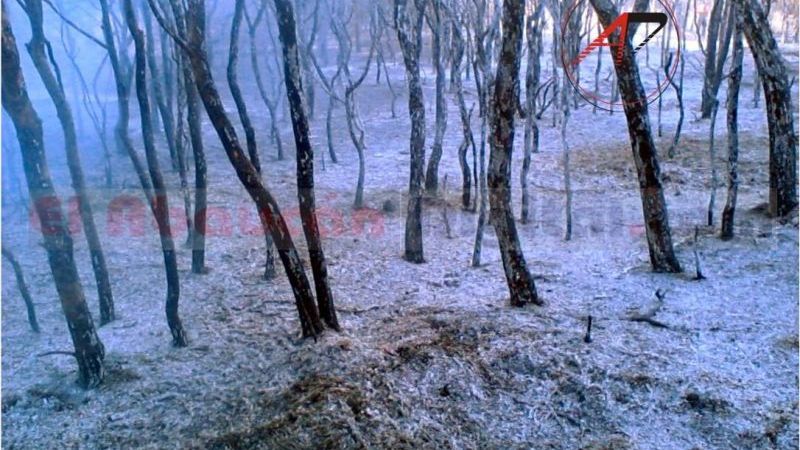 Incendio en Medanitos dejó cuantiosas pérdidas