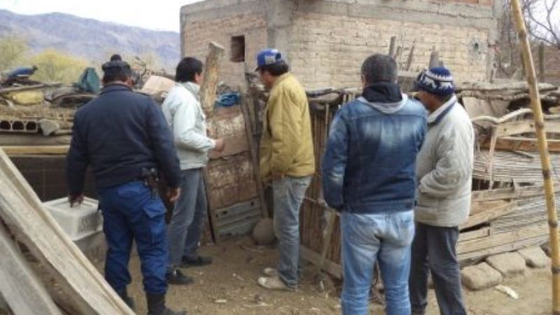 Gato mató a “lote de ponedoras” y dejó a productora a la deriva