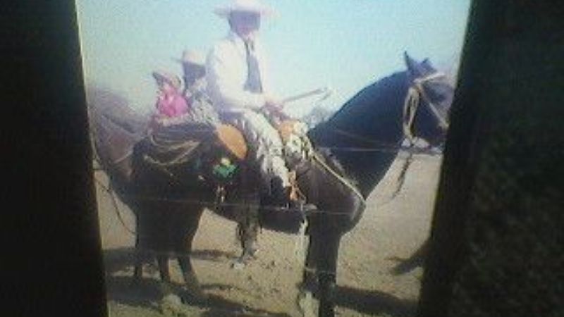 Dos perros dejaron sin caballo a un gaucho