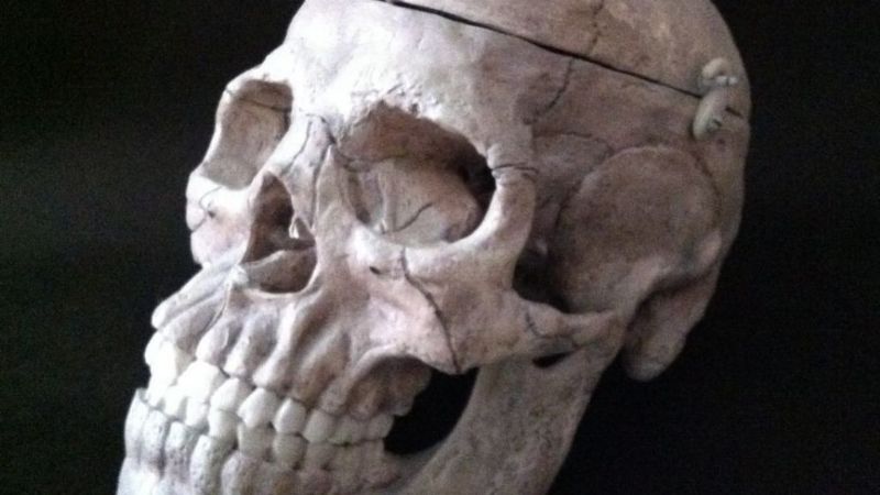 Encuentran un cráneo humano enterrado en el fondo de una casa