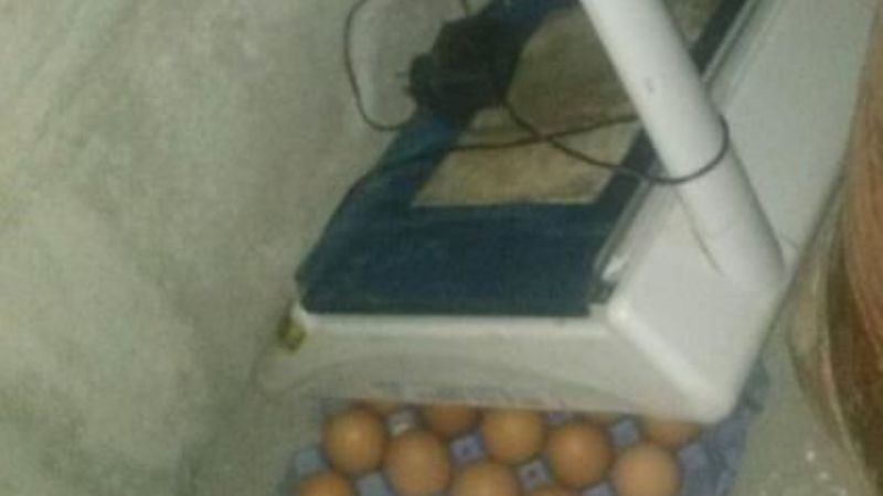 Tras un ilícito, aprehendieron a un joven y recuperan elementos robados