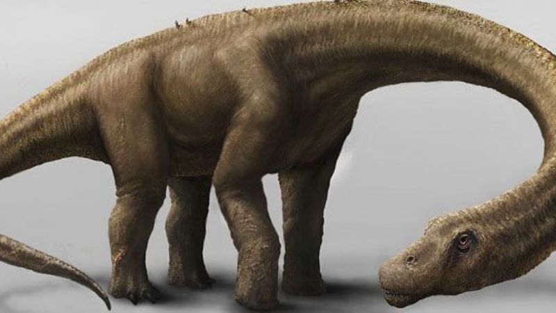 Hallan un descomunal dinosaurio en Argentina