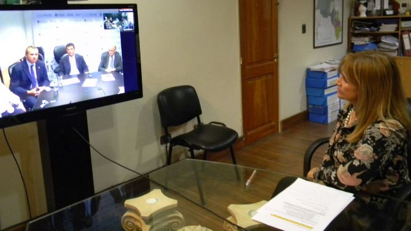 Catamarca participó del Consejo Regional de Salud a través de videoconferencia