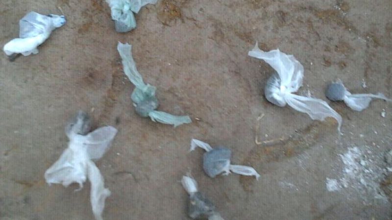 Arrestan a un sujeto y le secuestran droga y plantas de marihuana