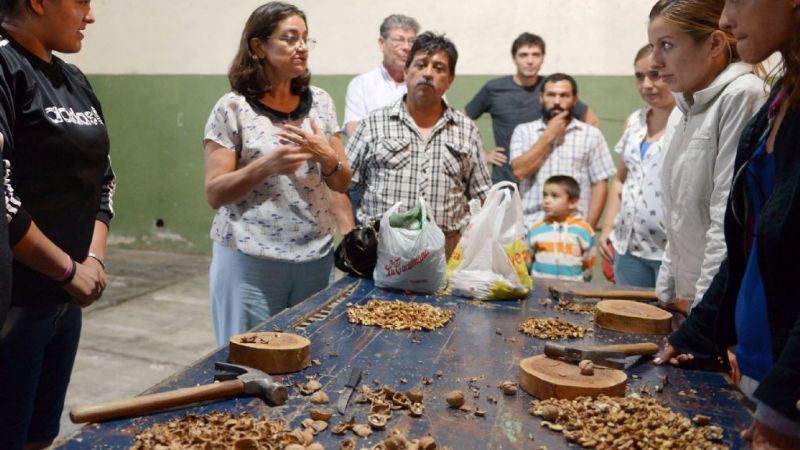 AICAT logró comercializar más de 20 toneladas de nuez