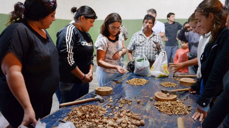 AICAT logró comercializar más de 20 toneladas de nuez