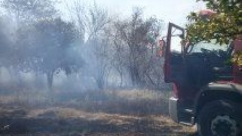 Ardieron los pastizales de un baldío en Valle Viejo