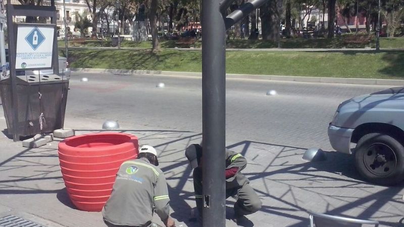 Se colocaron enredaderas con sistema de riego alrededor de la Plaza
