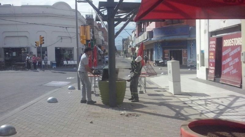 Se colocaron enredaderas con sistema de riego alrededor de la Plaza