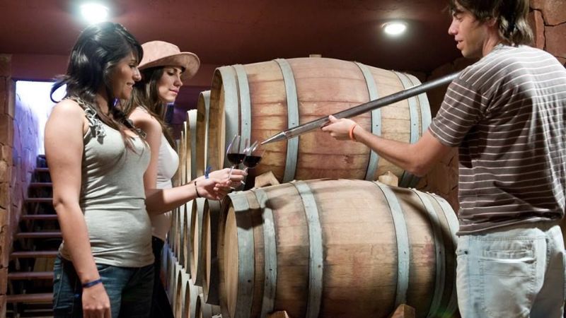 Catamarca se posiciona en Argentina Tierra de Vino