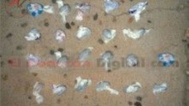 Secuestran marihuana en la terminal de Fiambalá