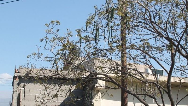 Renovación completa de alumbrado en Arroyo Fariñango y un sector de La Tablada