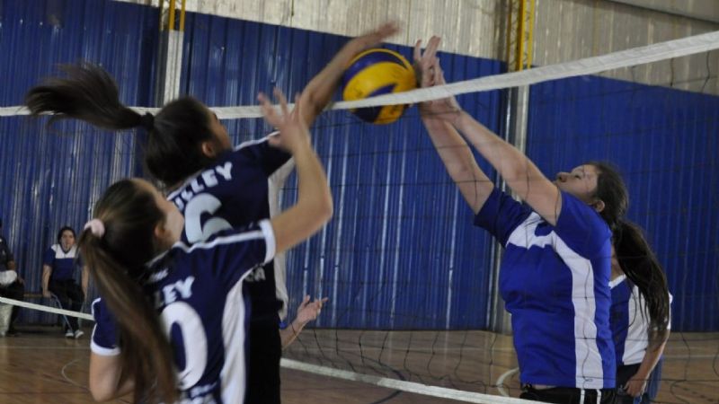 El Vóley y el Tiro ya tienen sus representantes