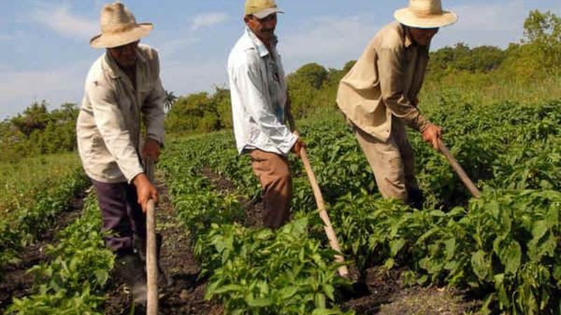 Productores crearán una comisión de enlace regional en el NOA