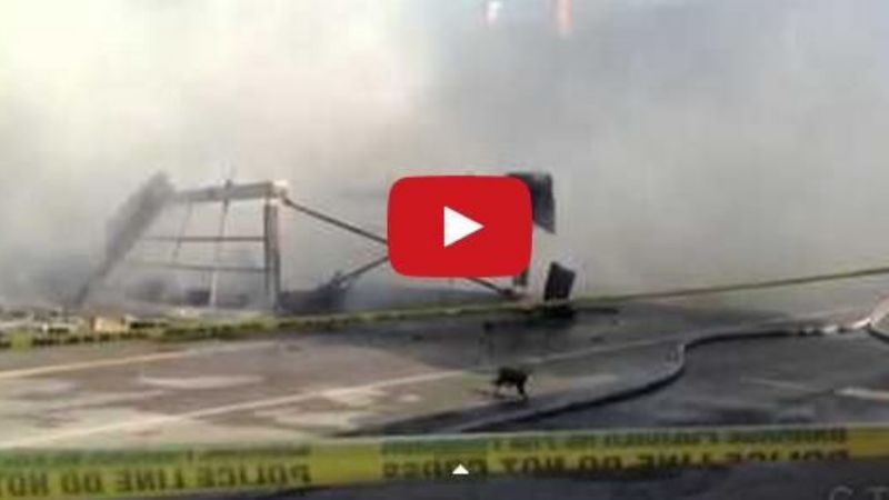 Este gato sí que tiene siete vidas