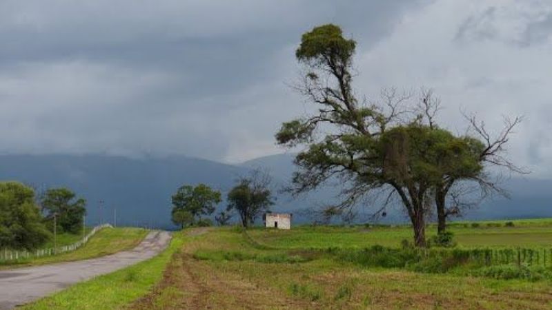 Normalidad en el tránsito por las rutas provinciales