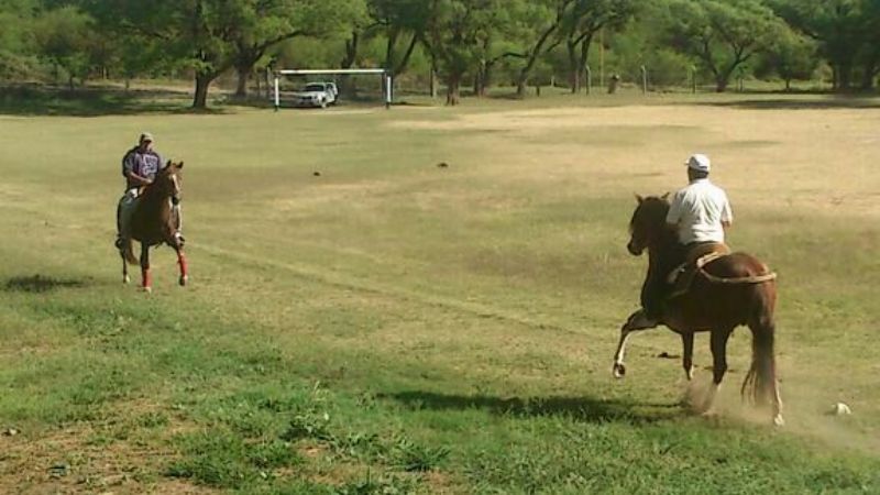 Reclamo de padres por prácticas con caballos en una cancha