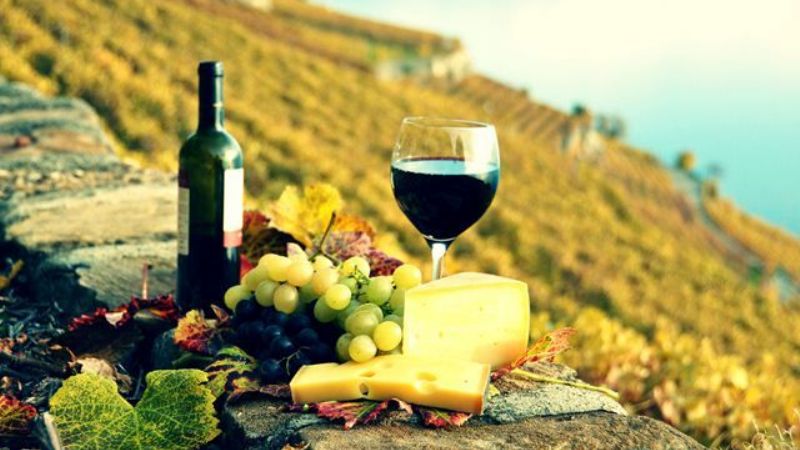 Catamarca y provincias vitivinícolas sellan acuerdo para desarrollar el enoturismo