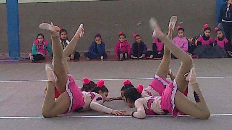 Evita 2014: La Gimnasia artística tiene a sus representantes