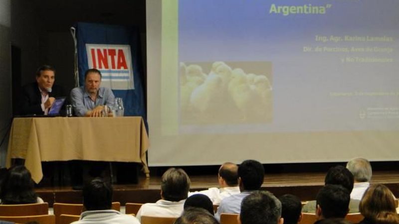 El mercado avícola está prácticamente virgen en Catamarca