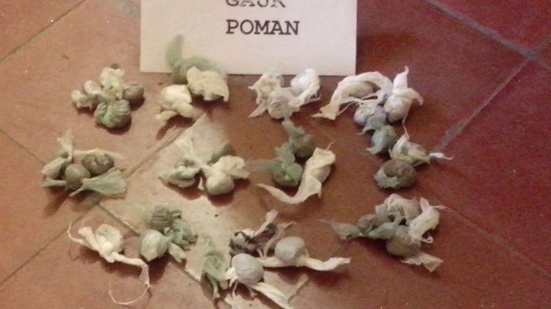 Secuestran droga en Capital y Saujil