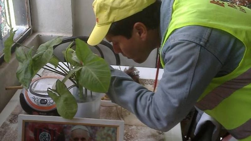 Campaña de prevención contra el dengue