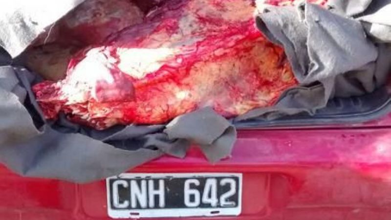 Secuestran carne en Aconquija