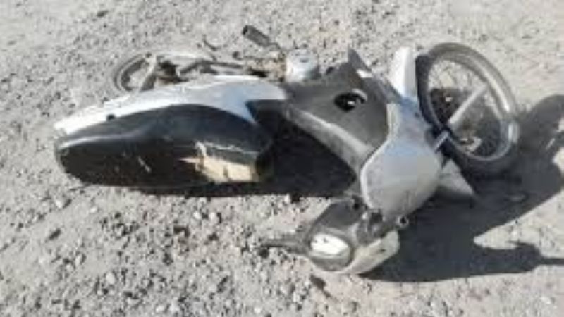 Chocó a un perro y cayó al piso