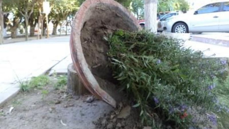 Irresponsabilidad de vecinos: Siguen arrojando basura a la vía pública