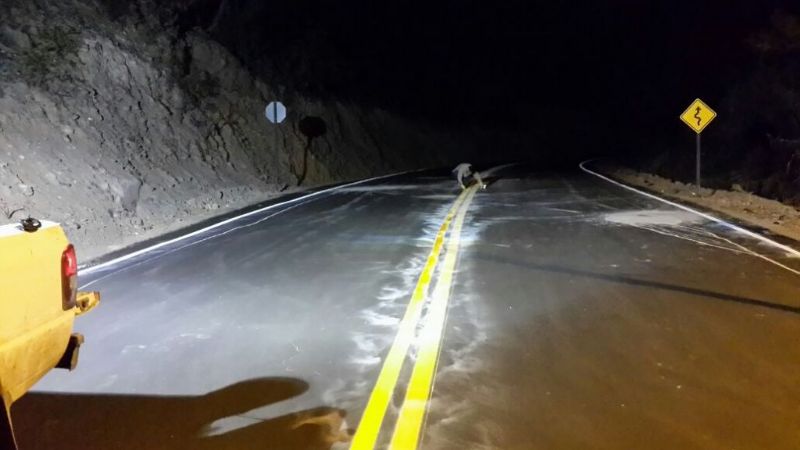 “El Jumeal” señalizado y renovado