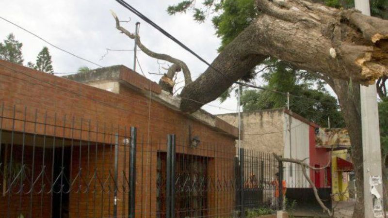 El viento provocó graves daños en Valle Viejo