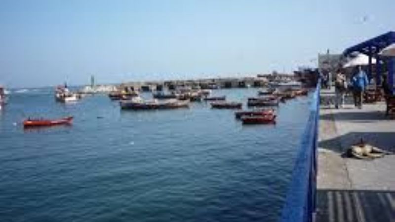 Antofagasta, Chile, invitó a una rueda de negocios agroalimentarios