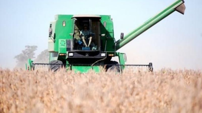 Exportadores liquidaron divisas por 324 millones de dólares del agro