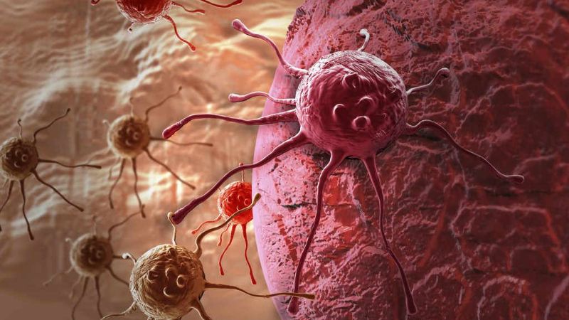 El 65% de los tipos de cáncer se deben al azar y no a factores de riesgo