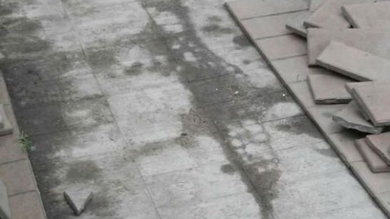 El colmo: quisieron robarle... ¡la vereda de su casa!