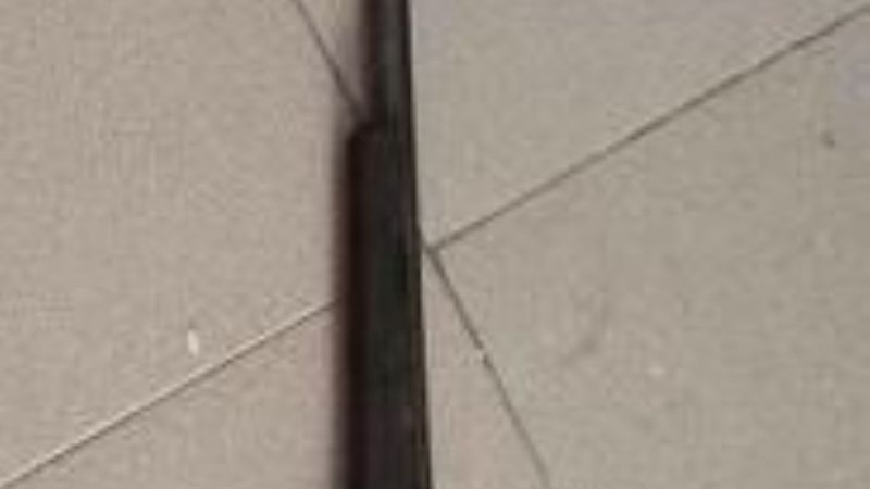 Detenidos por robar animales