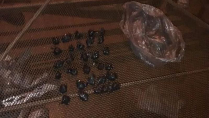 Duro golpe a las drogas en Aconquija