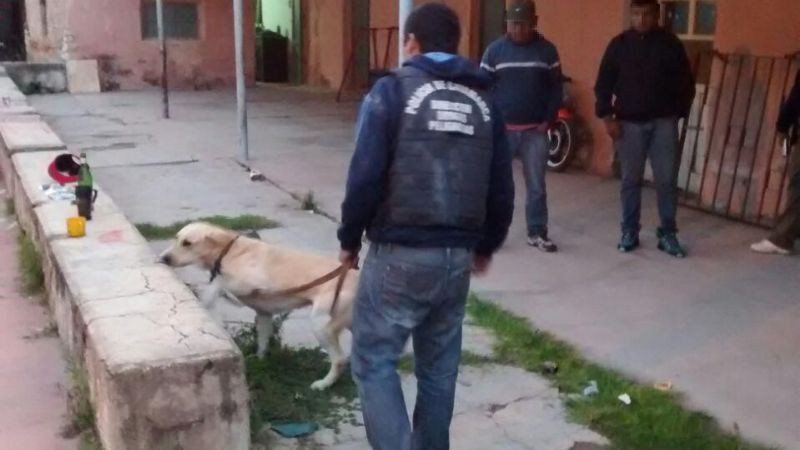 Duro golpe a las drogas en Aconquija