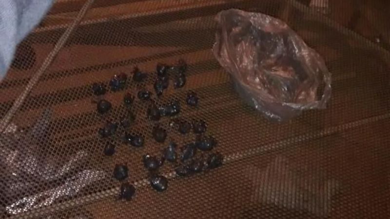 Duro golpe a las drogas en Aconquija