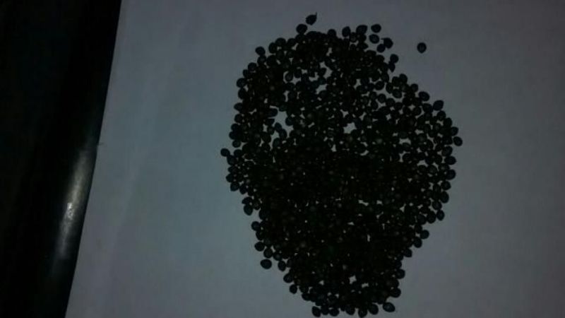 Duro golpe a las drogas en Aconquija