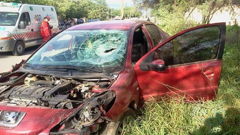 Muere paloblanqueño al ser embestido por auto en La Rioja