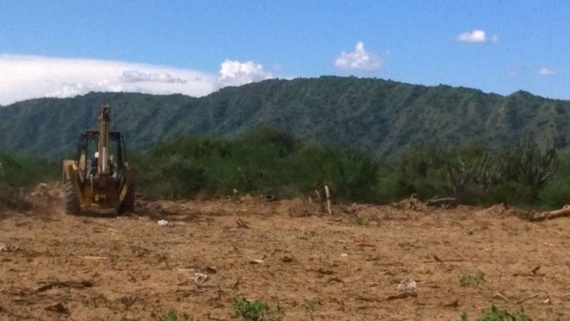 Operativo de limpieza camino a La Gruta, avenida Choya y barrios del norte