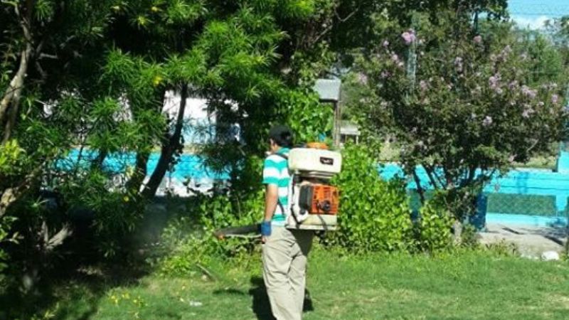 Poda y desinfección en Valle Viejo