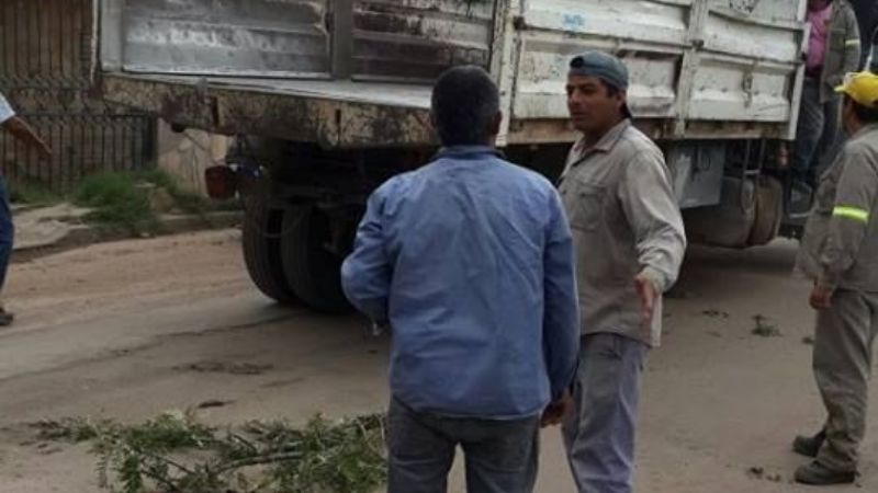 Poda y desinfección en Valle Viejo