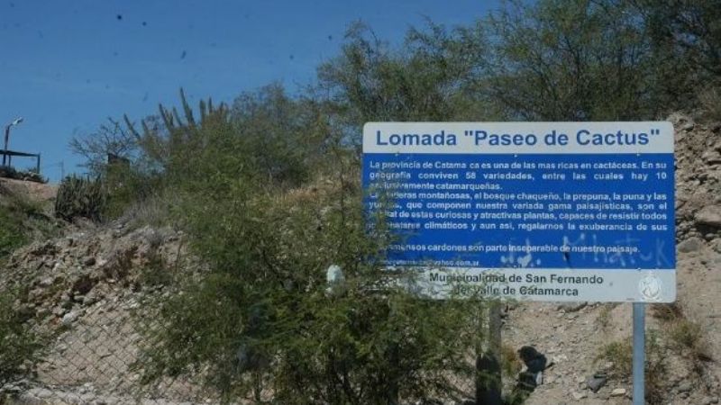 Pandilla desmanteló predio de la curia en El Jumeal