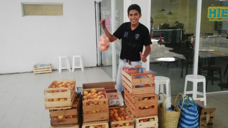 Los duraznos de los chañares, una exquisitez en los valles