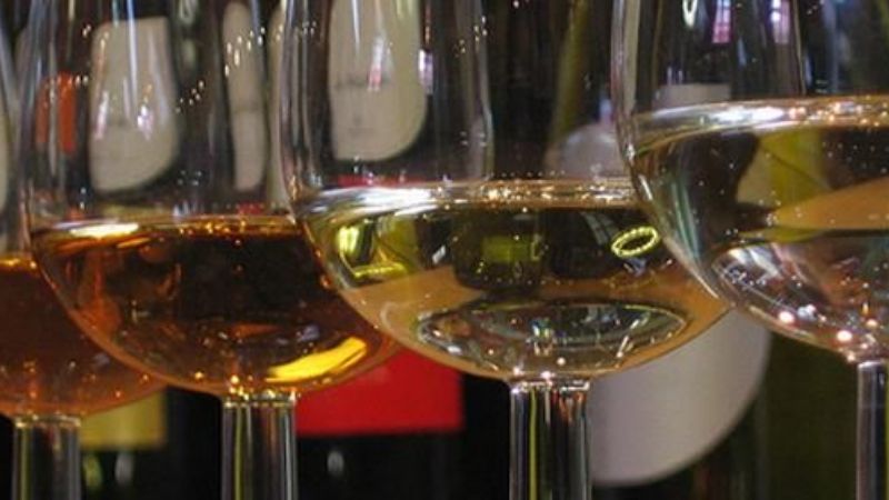 Organizan capacitación para elaboradores de vinos caseros