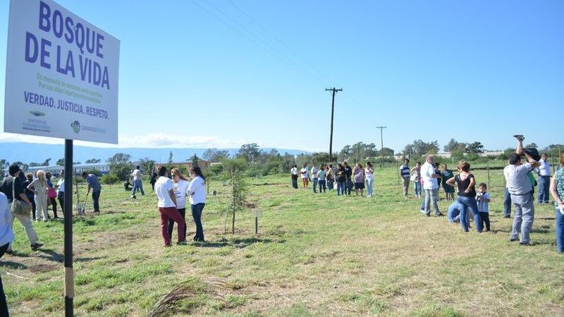 Emotiva plantación de árboles en el nuevo "Bosque de la Vida"